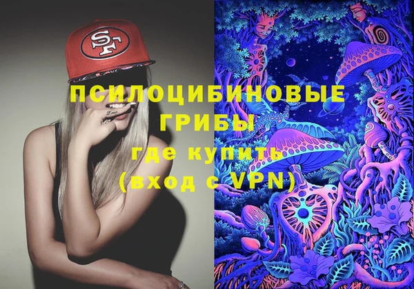 дмт Абаза