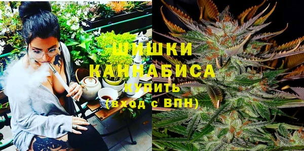 дмт Абаза