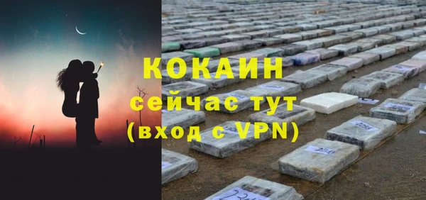 дмт Абаза