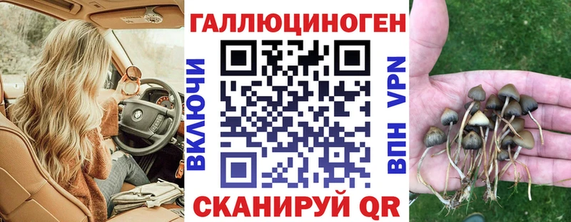 Галлюциногенные грибы мицелий  как найти   Шарыпово 